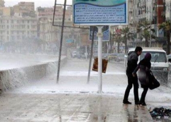 النهاردة كام طوبة