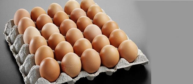 سعر كرتونة البيض اليوم 12 أغسطس 2025