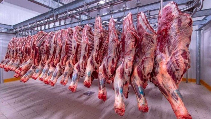 أسعار اللحوم والفراخ اليوم في الأسواق