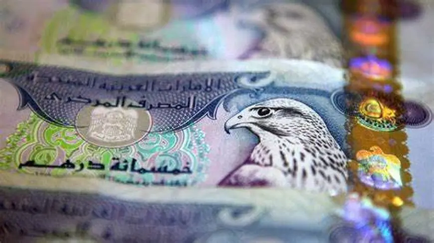 استقرار سعر الدرهم الإماراتي أمام الجنيه المصري اليوم 