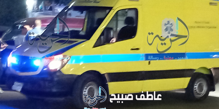 حادث تصادم سيارة بشبين الكوم