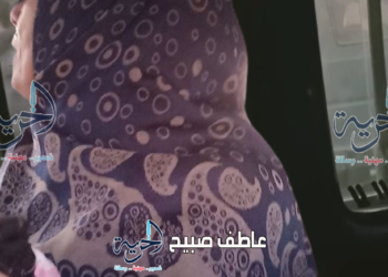محاولات تخدير أم وخطف طفلها داخل ميكروباص شبرا الخيمة