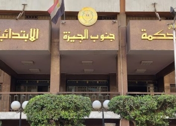 محكمة جنايات جنوب الجيزة - تصوير آخرين