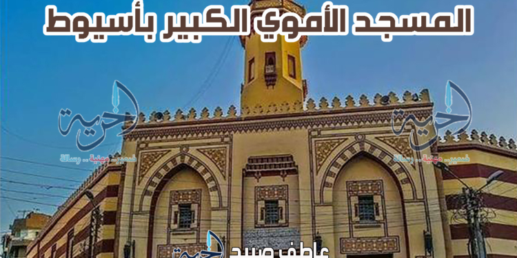 أذان الفجر والمغرب.. مواقيت الصلاة في أسيوط اليوم الاثنين 17 رمضان