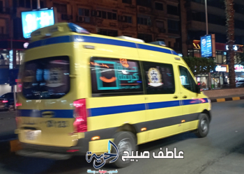 حادث انقلاب سيارة ربع نقل بطريق المنصورة جمصة