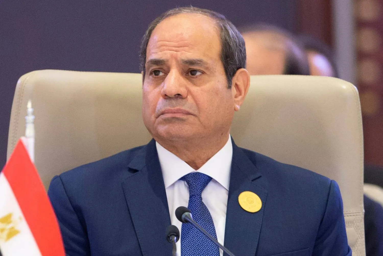الرئيس عبد الفتاح السيسي