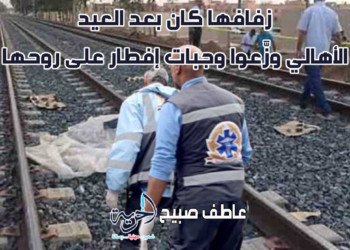 مصرع صيدلانية في حادث قطار في شبين القناطر