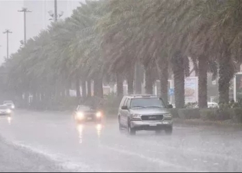 حالة الطقس في الجزائر اليوم