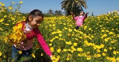 انتهاء فصل الشتاء وبداية الربيع