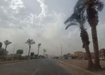 حالة الطقس غدًا