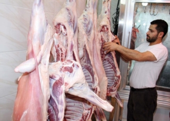 أسعار اللحوم النهاردة 15-5-2025