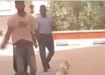 طالب يطعن زميله