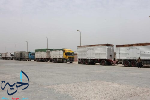 توريد القمح بالمنيا