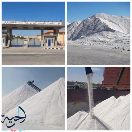 مشروعات تنموية بسيناء