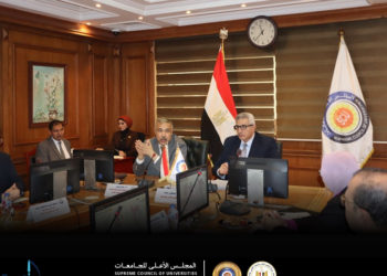 جائزة مصر للتميز