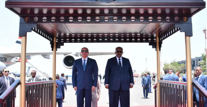 الرئيس السيسي والرئيس الجيبوتي إسماعيل عمر جيله