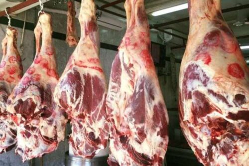 اسعار اللحوم اليوم