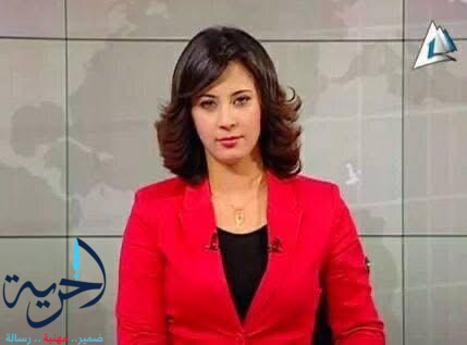 صباح الخير يا مصر ، و نشرة ٩ مساء ، عام ٢٠١١ على شاشة التلفزيون المصري