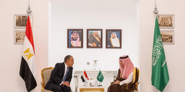 وزير الخارجية ونظيره السعودي
