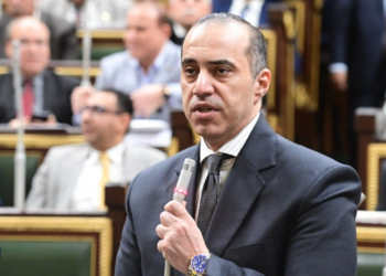 المستشار محمود فوزي وزير شؤون المجالس النيابية