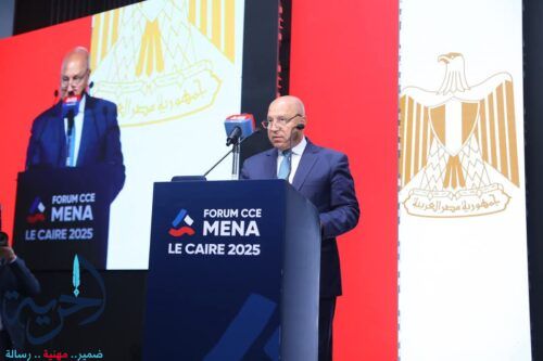 وزير الصناعة والحانب الفرنسى
