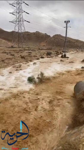 سيول سيناء 