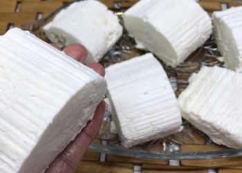 الجبنة القريش مصدر غني بالبروتينات