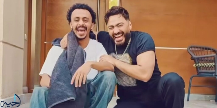 تامر حسني