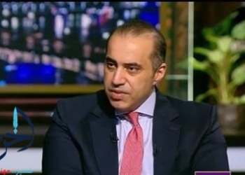 المستشار محمود فوزى