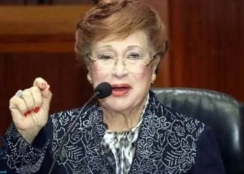 من هو حفيد نوال الدجوي