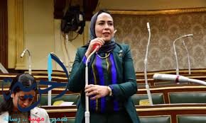 النائبة سارة النحاس