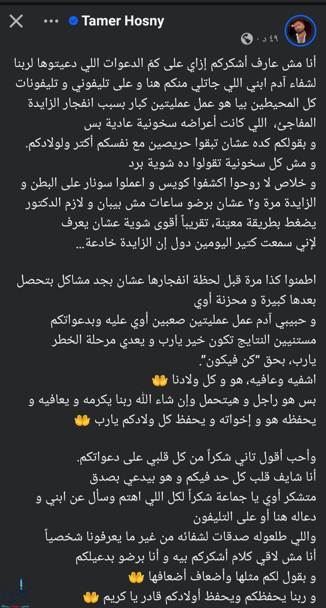 الفنان تامر حسني