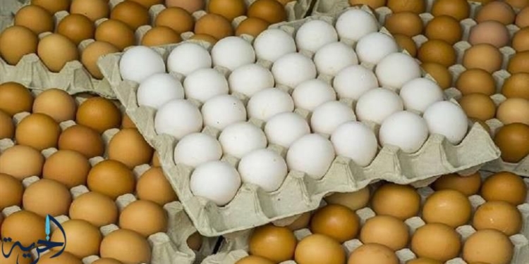 سعر كرتونة البيض اليوم 12 أغسطس 2025