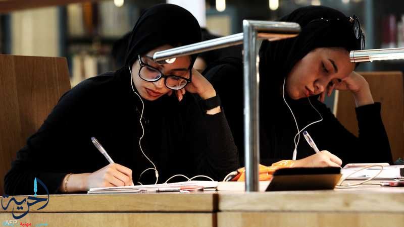 الواجبات اليومية والتقييمات الأسبوعية
