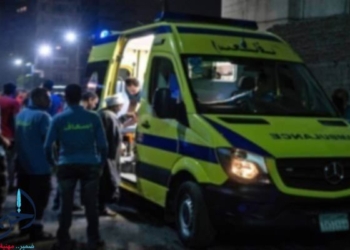 حادث صحراوي المنيا
