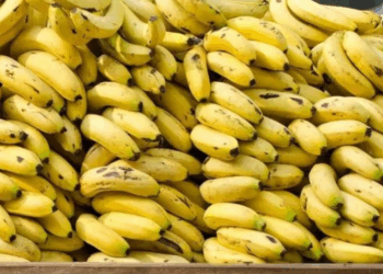 فوائد الموز الصحية