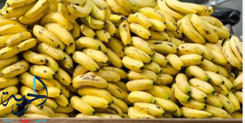 الموز