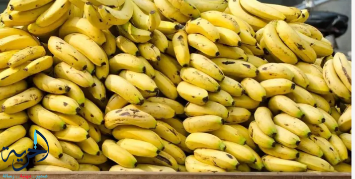  الموز 