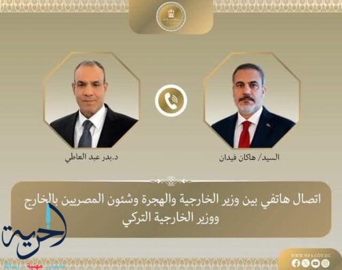 وزير الخارجية المصري ونظيرة التركي