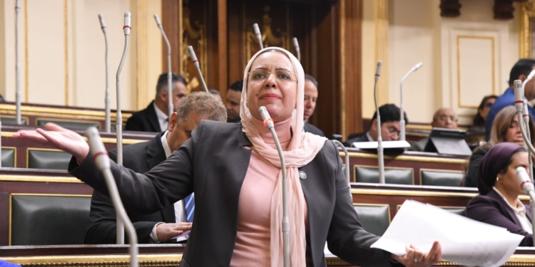 النائبة ريهام عبد النبي