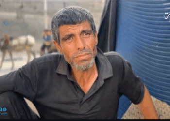 أبو بكر مواطن من غزة