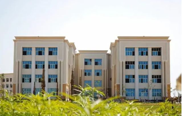 مصاريف جامعة المنصورة الجديدة 
