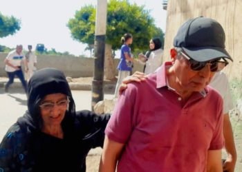 محافظ المنيا