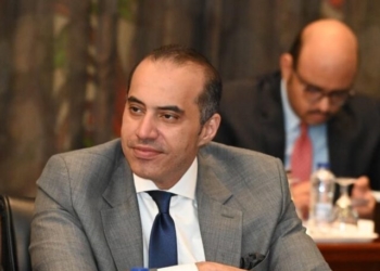 المستشار محمود فوزي