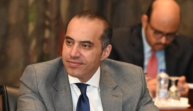 المستشار محمود فوزي