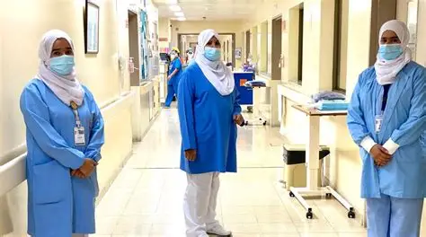 مدارس التمريض 