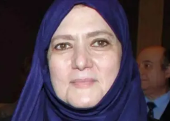 شمس البارودي
