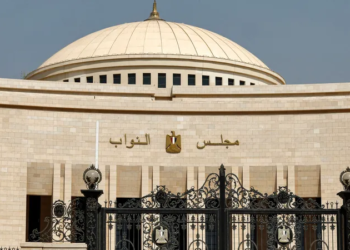 المرشح الطائر