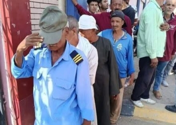انتخابات الشيوخ