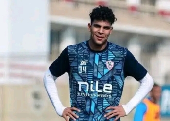 محمد السيد
